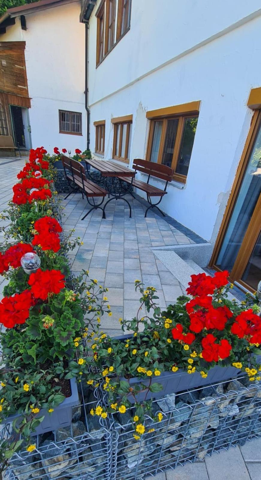 Ferienwohnung Mit Sauna Am Alpsee Бюл ам Алпзее Екстериор снимка